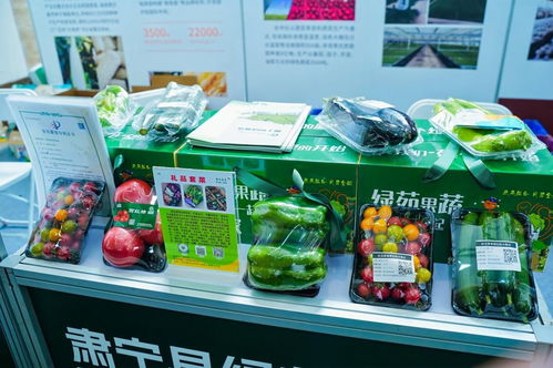 旱堿麥品牌引領(lǐng)京津冀農(nóng)業(yè)協(xié)同新篇章——滄州農(nóng)產(chǎn)品閃耀京城