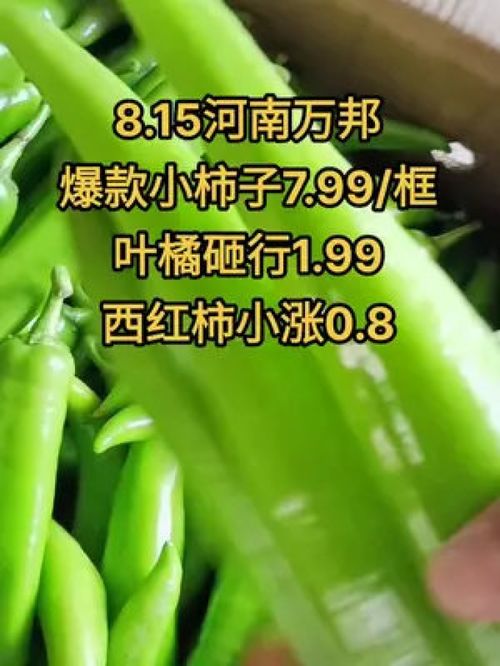 農(nóng)產(chǎn)品市場(chǎng)行情持續(xù)低迷，水果蔬菜優(yōu)質(zhì)產(chǎn)品如何破局？